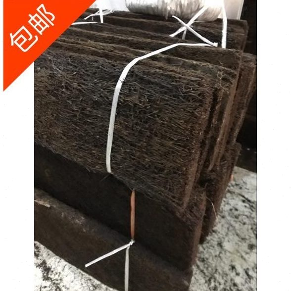 木木板洋兰生选植态寄植料绑木板石斛蛇盆附板板种植蛇植花盆木生