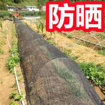 遮阳网菜黑色防晒可蔬菜选 遮阳网多 网 地格保护 太阳遮阳网种规