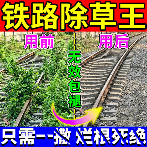 铁路公路专用锄草剂荒地工厂老房子强力渗透除杂草一扫光神器