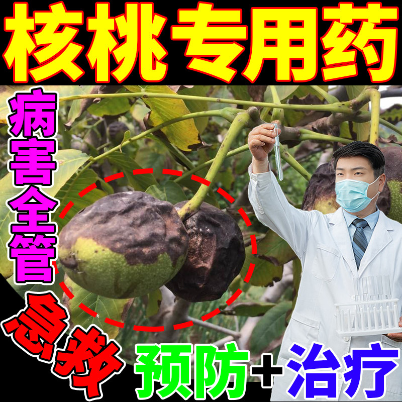 核桃树专用药黑皮褐斑白粉腐烂病烂果黑水病通用杀菌剂核桃病全治