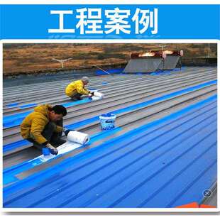 彩钢瓦翻新专用漆免除锈打磨防水防锈防腐金属油漆底面合一工业漆