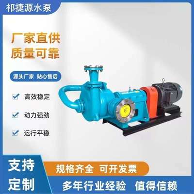 板框压滤机入料泵加压杂质泵煤泥污泥浆泵ZJW200-250浮选机喂料泵