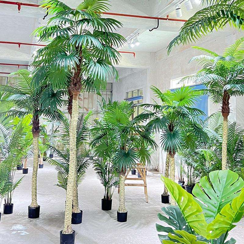 仿真美丽针葵小扇葵树塑胶杆套接老人葵网红葵树大型绿植盆栽