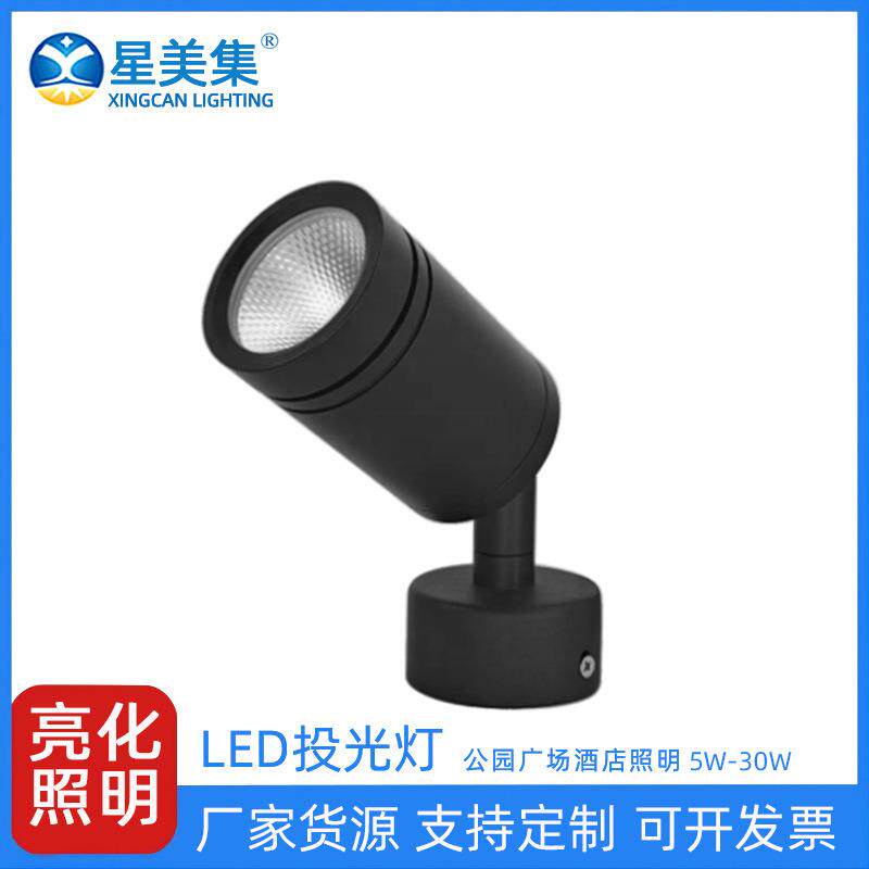 5W10W20W30W室外桥梁工程大功率户外防水草坪灯别墅公园投射
