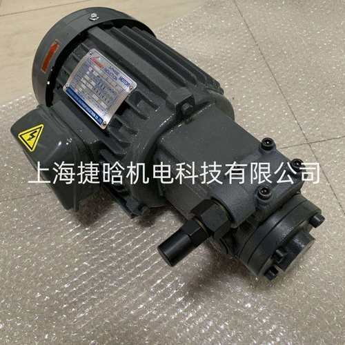 锐力rexpower马达 RBB-2 2HP-4P 1.5kw RBB-206Y摆线齿轮泵
