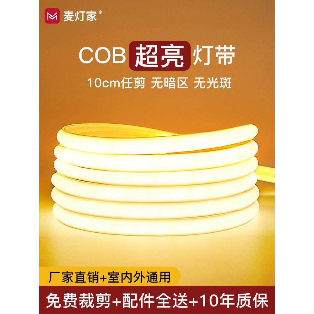 别墅屋檐灯带超亮220v户外庭院外墙夜景装饰氛围led灯条