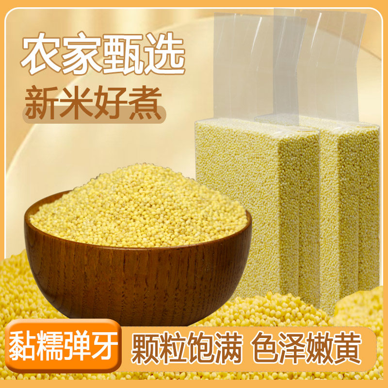 蔚百谷杂粮大黄米包粽子新米好米