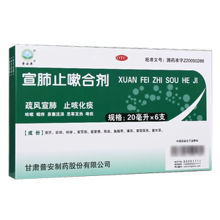 普安康宣肺止嗽合剂20ml*6支鼻塞流涕肺炎发热气管炎120ml