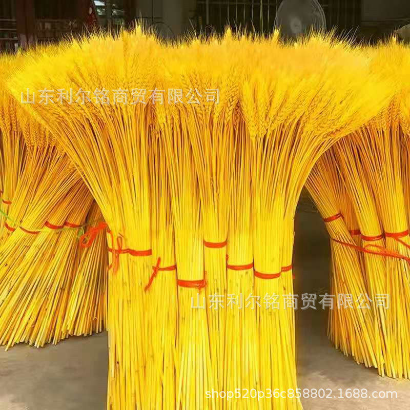 现货供应干花麦穗染料金黄染色剂干花金黄颜料金黄色粉