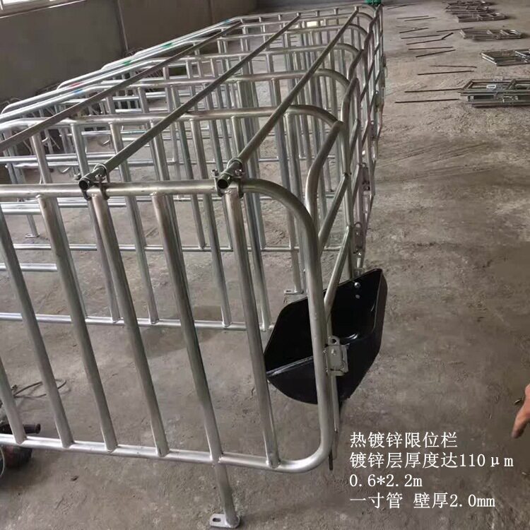 沧州厂家母猪定位栏 母猪猪用定位栏 母猪限位栏 猪自动供料系统
