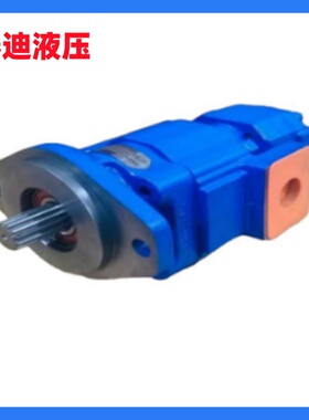 P257-G63487ZGA6/P124-G20ING双联齿轮泵 柳工862工作泵 11C0353