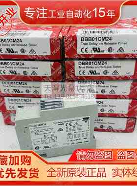 全新原装正品DBB01CM24瑞士佳乐CARLO GAVAZZI时间继电器