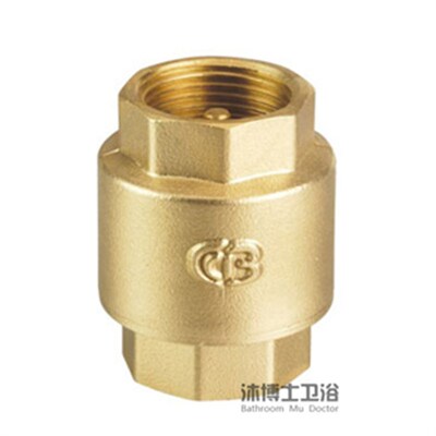 精品黄铜立式止回阀 弹簧止回阀 人保承保 质优价廉 4分/DN15