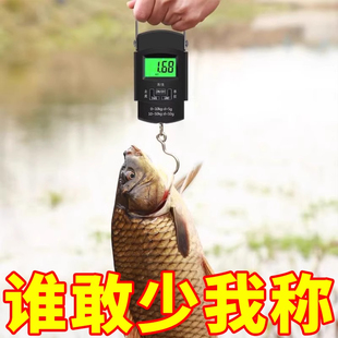 手提電子秤小型稱重器鉤高精度精準電子稱手提秤彈簧秤家用便攜式