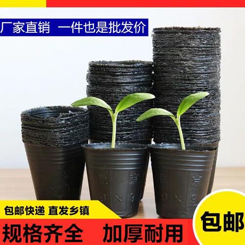 营养杯育苗盆育苗袋育苗杯育苗盒营养钵营养袋加厚塑料一次性花盆