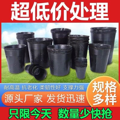 营养杯育苗盆育苗袋育苗杯育苗盒营养钵营养袋加厚塑料一次性花盆