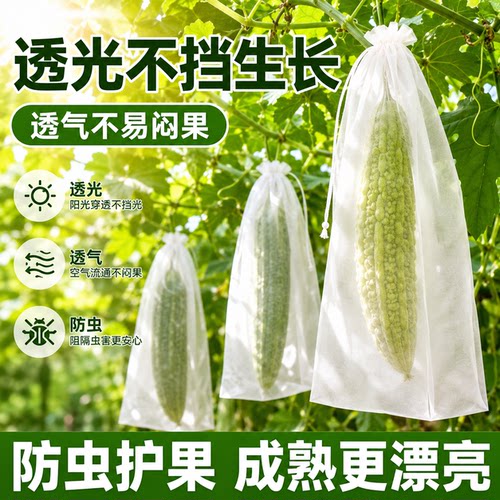 丝瓜黄瓜防虫套袋瓜果防护袋苦瓜蔬果防鸟防尘防水果蔬保护网袋