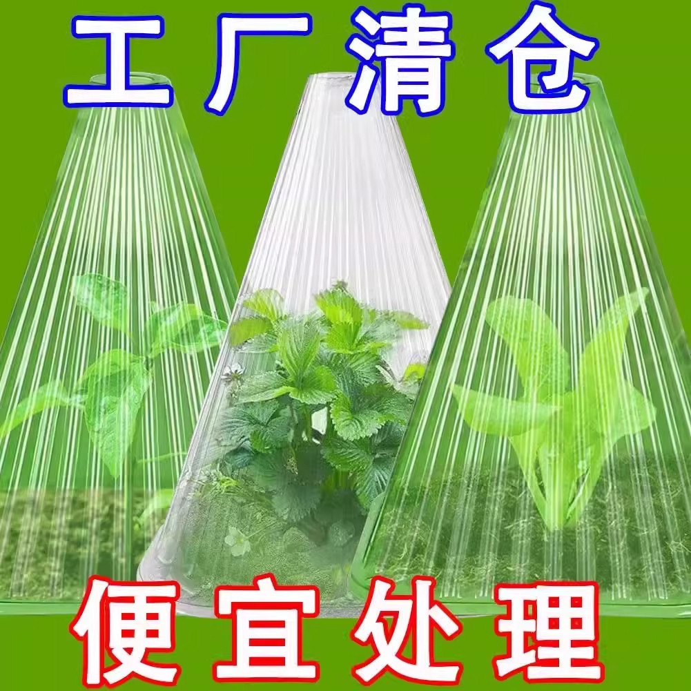 育苗保护罩加厚幼苗植物钟罩大棚菜苗霜冻大号保护防虫育苗防护罩