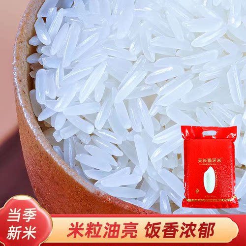 【精品猫牙米】6-7MM新米天长猫牙米香米现磨现发农家长粒香