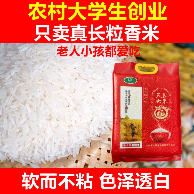 精品猫牙王香米（7-8毫米）天长大米长粒香米煲仔饭专用扬州炒饭