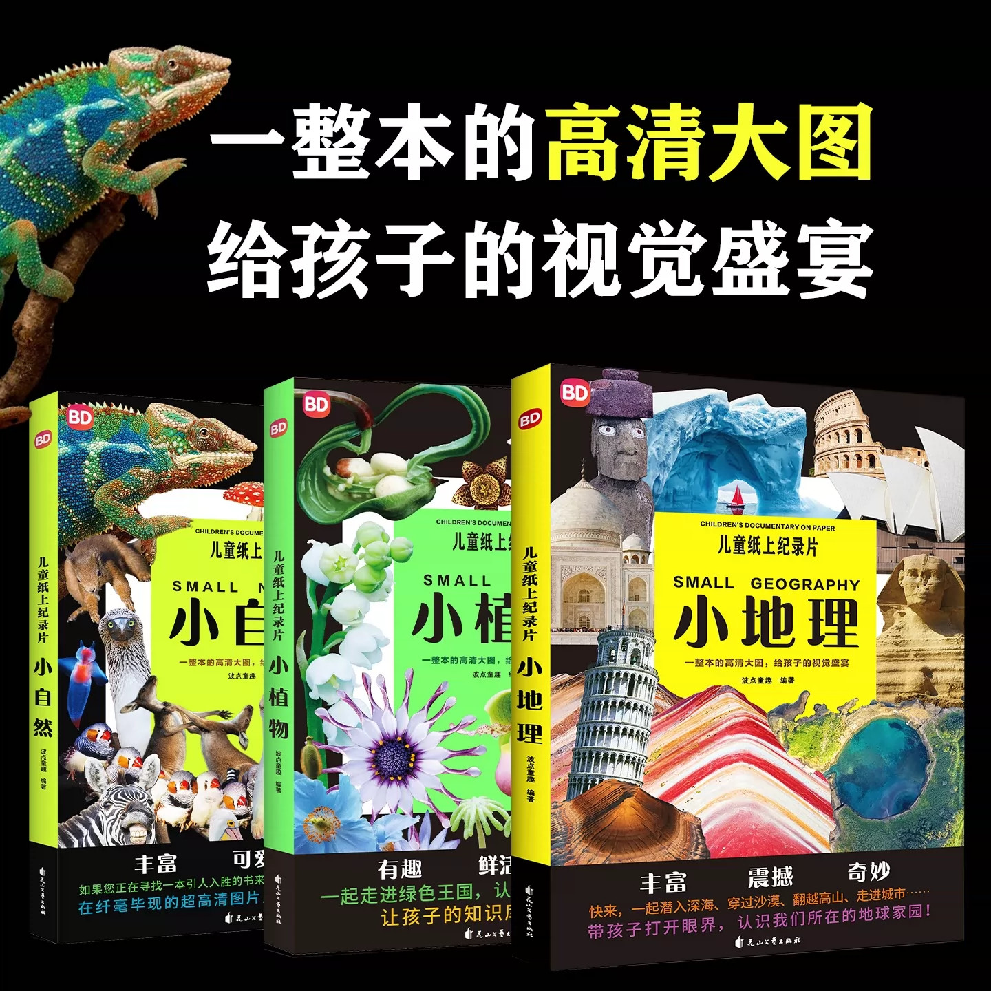 儿童纸上纪录片小自然 波点童趣 一整本的高清大图 给孩子的视觉盛宴 少儿科普绘本百科全书课外读物绘本漫画
