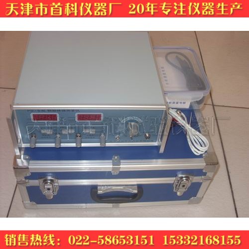 钢筋锈蚀仪 混凝土钢筋锈蚀仪 PS-6型
