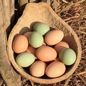 土鸡蛋正宗农家散养谷物鲜鸡蛋纯真正农村放自养新鲜孕妇土草鸡蛋