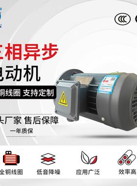 YE3-225M-6极三相异步电动机全铜国标马达30W380V交流纺织电机