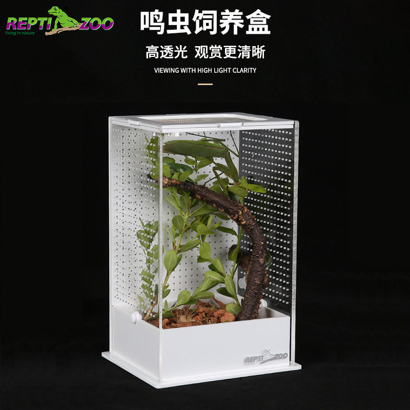 Reptizoo亚克力饲养盒竹蛉昆虫盒螳螂罐蝈蝈笼子鸣虫生态盒蟋蟀箱