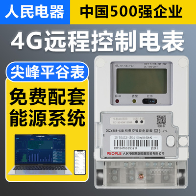 人民电器4g电能表远程充值