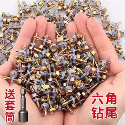 钻尾螺丝彩钢瓦专用燕尾自攻螺丝自动锁紧钻尾套装工具燕尾丝钉