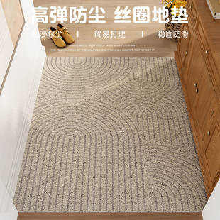 侘寂风进门丝圈地垫家用刮泥蹭土防滑门垫易打理玄关入户门地垫