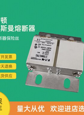 全新快速熔断器保险170M1750 170M1751 170M1752 170M1753