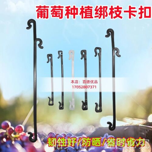 葡萄邦枝卡扣种植果园大s棚朋猕猴免拆防脱固定抗风晒耐用省力捆