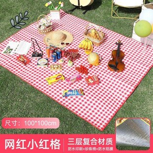 户外地面铺垫公园草o地垫子外出野餐垫草地铺垫海边沙滩垫露营垫