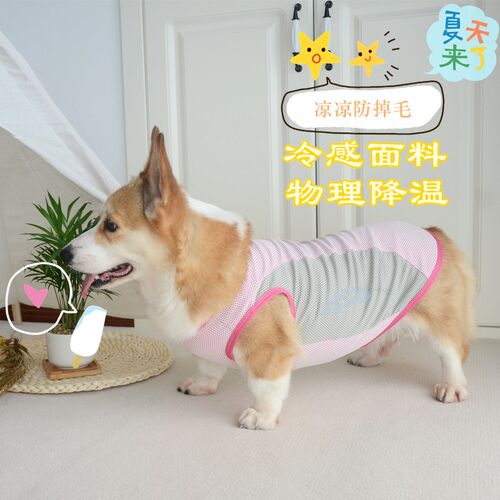 宠物衣服柯基狗狗背心春夏降x温马甲中小型犬金毛衣服萨摩凉凉衣