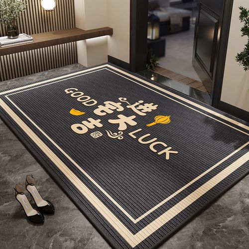 入户门地垫门口进门耐脏脚踏垫家用玄关加厚入户地毯2025新款门垫