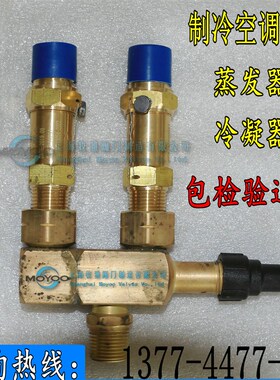 制冷剂安全阀SFA-22C300T14 CSA-22C300T冷冻机安全阀 DN15 20 25