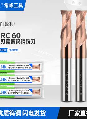 LMK60度2刃高硬度钨钢铣刀合金涂层立铣刀平底刀不锈钢钢件刀8 10