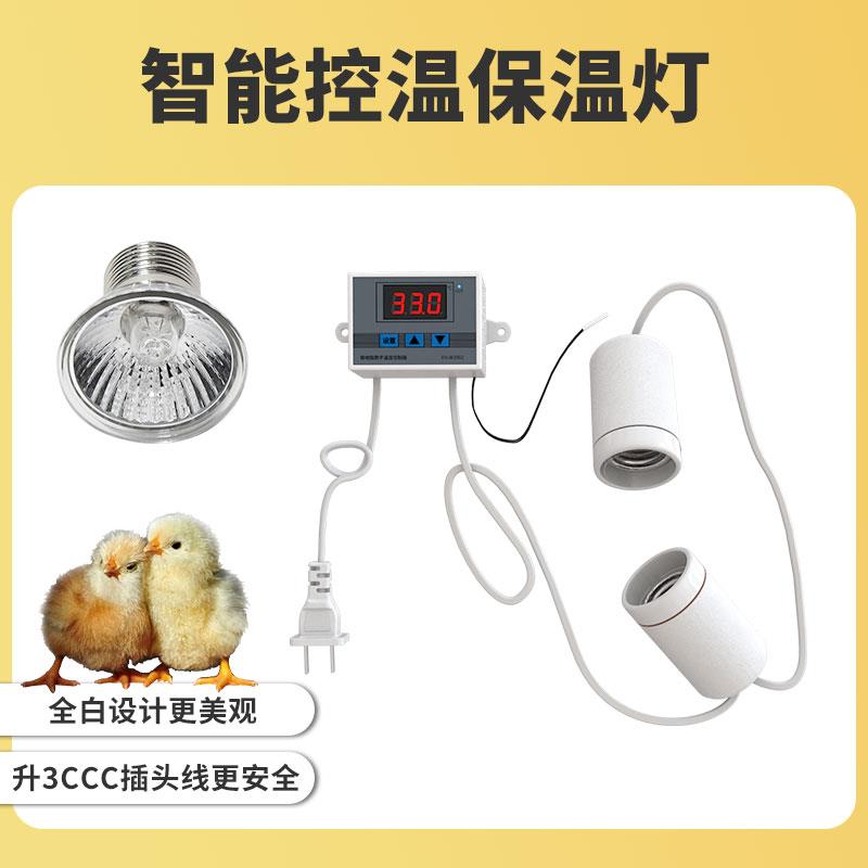 芦丁鸡保温灯自动温控器恒温灯取暖灯养殖箱育雏灯小鸡加温加热灯