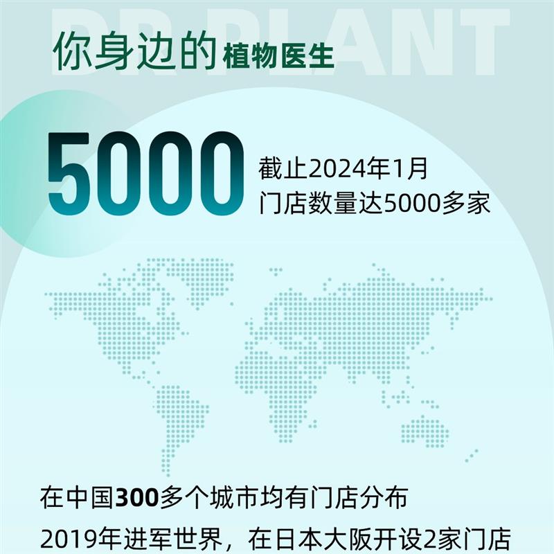 【爆款升级】43片山茶花盈润保湿面膜滋润贴肤学生面膜植物医生