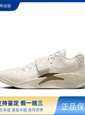 Jordan Zion 3 SE PF 时尚百搭 耐磨男低帮篮球鞋FN1778-040