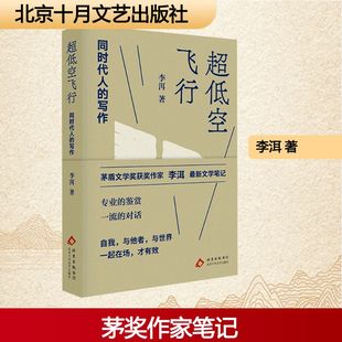 超低空飞行 同时代人的写作 李洱 著 北京十月文艺出版社