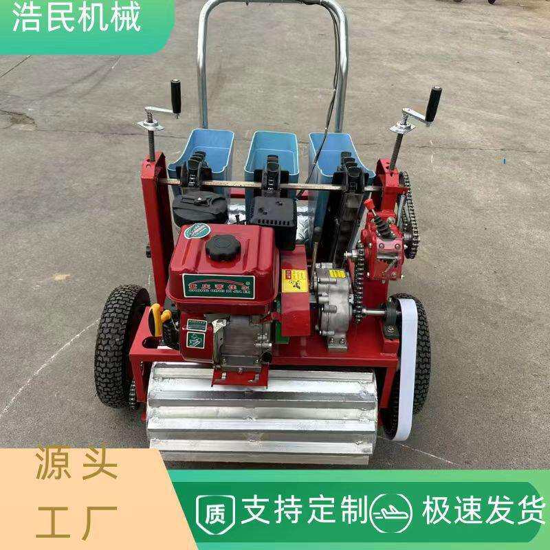 大蒜播种机新款手推式种蒜种蒜机机器小型家用手推电动种植机