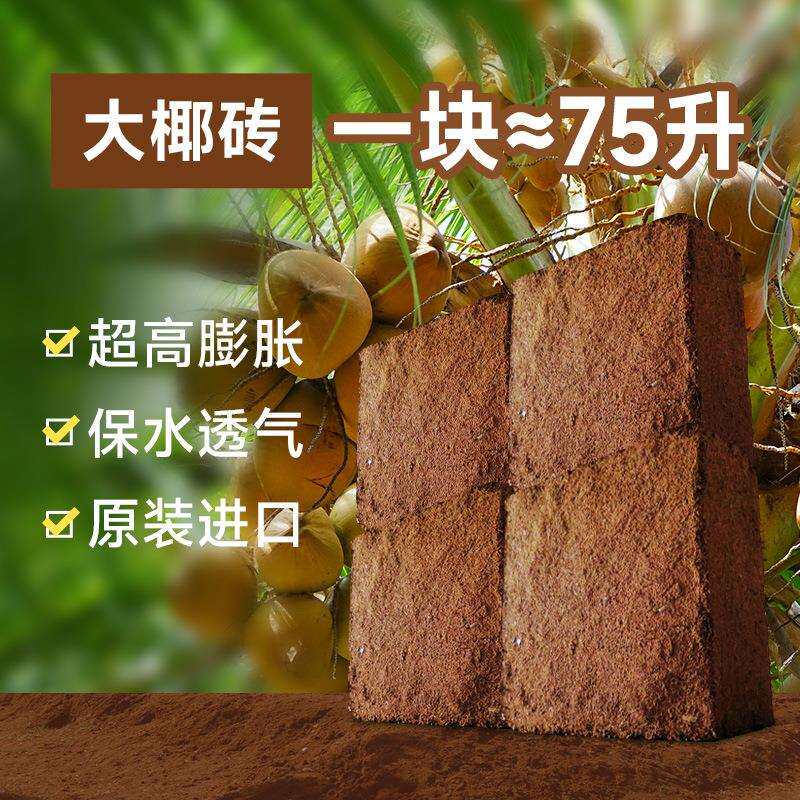 栽培基质泡发低盐高发泡量园艺水培种植无土栽培育苗用压缩大椰砖