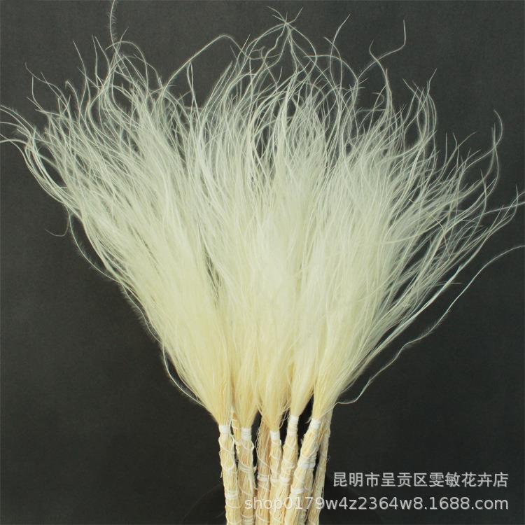 小花束配材柔丝浪漫草干花花材羽毛草仙气飘飘