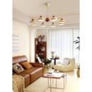 法式 设计师灯具其他 奶油风客厅吊灯高级感中古风主灯新款