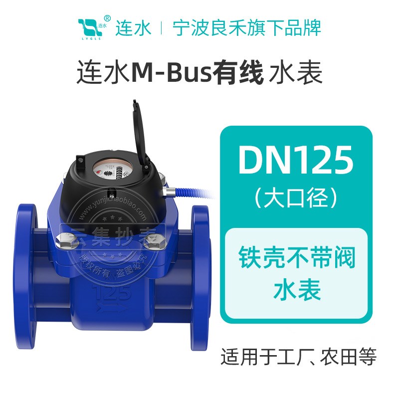 良禾口大径智能水表 工业厂房用法兰水表M-BUS远传抄表水表送系统