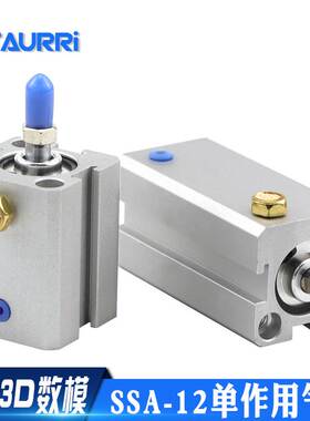AIRAURRI 单作用气缸SSA12-5/10/15/20/25/30/40/45/50 单动押出