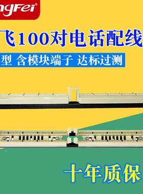 腾飞110型100对电话配线架 19寸机柜电话跳线架100对语音理线架